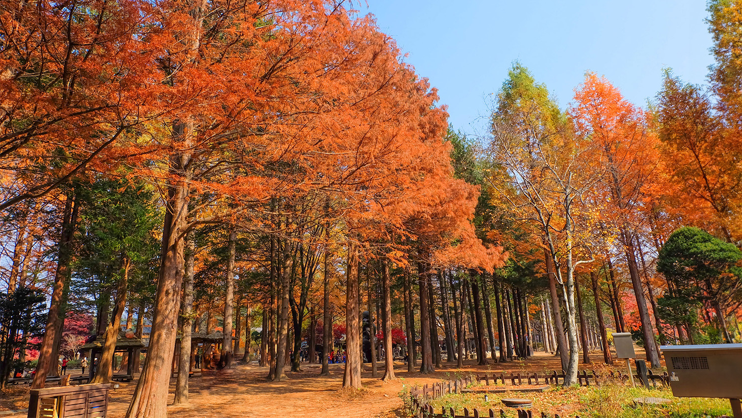 Nami Island, South Korea