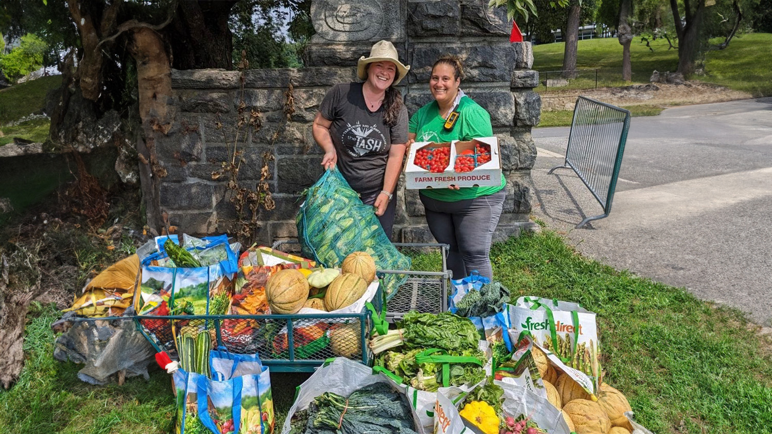 Seasonal Farmers Market. (Photo: TASH Farmers Market)