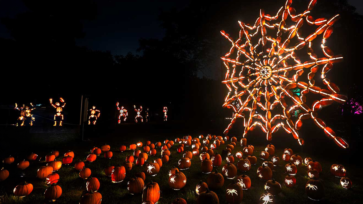 Spider Web Made from Pumpkin Carvings. (Photo: Jim Logan)