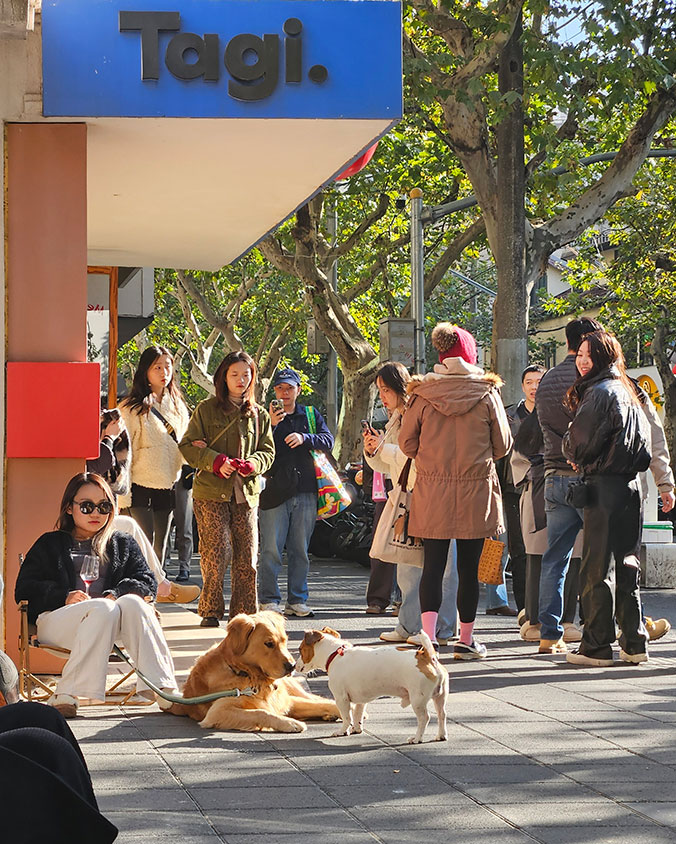 The French Concession is a parading ground for dogs of all sizes.