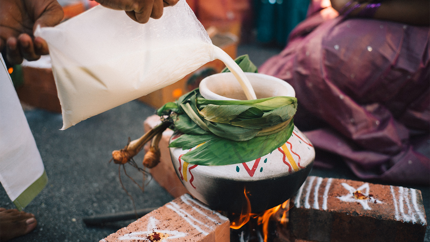 Milk is poured into the Pongal pot, ready to be heated over the fire.