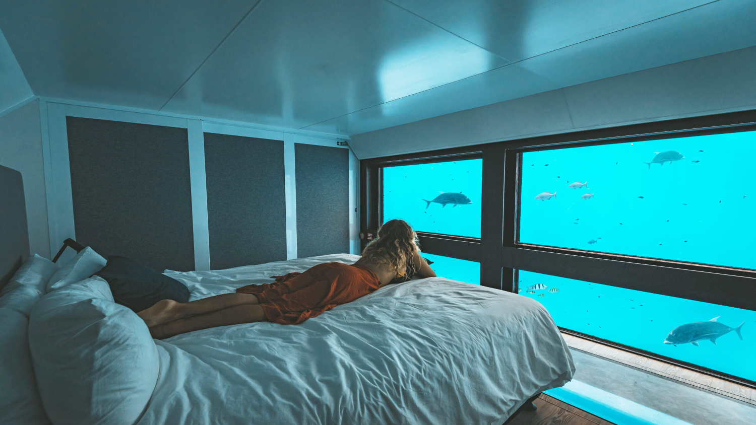 Reefsuites, Queensland