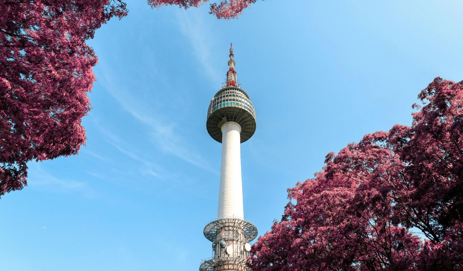 Enjoy 360° views of Seoul at N Seoul Tower.
