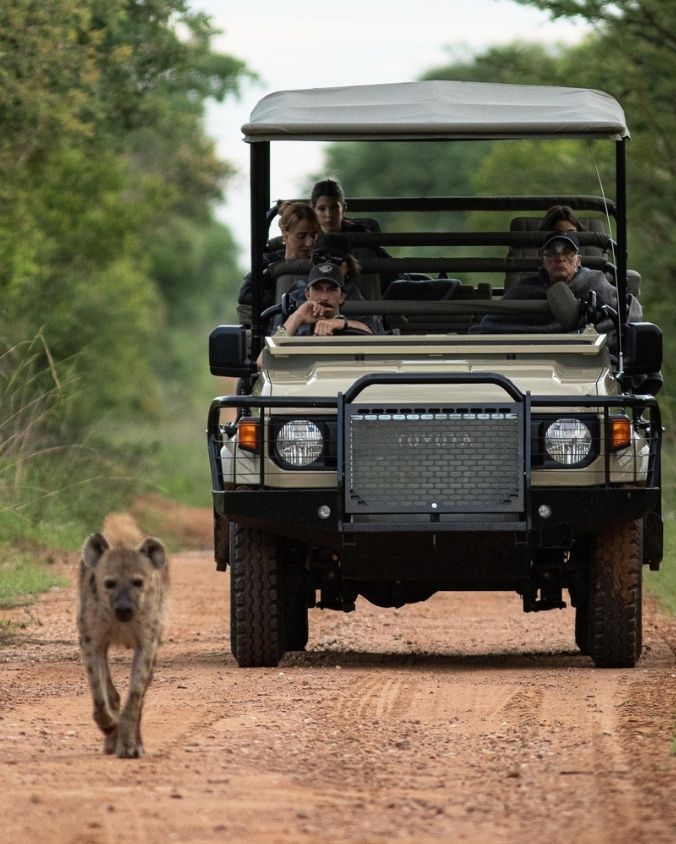 Look but don’t touch is the new wildlife wellness mantra.