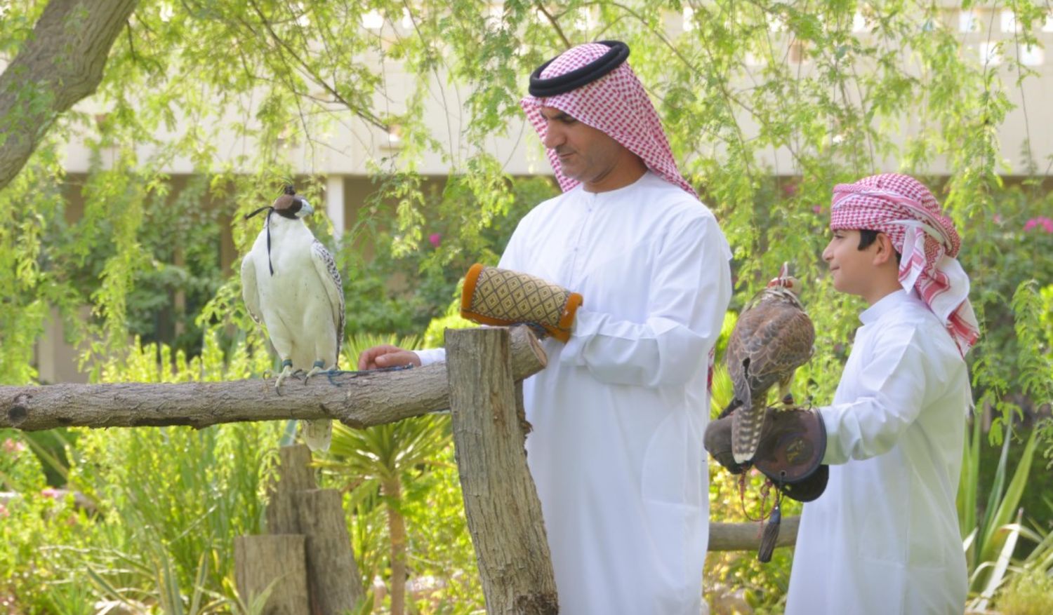 Visitors can get up close with these majestic birds, learn about their care, and even hold one.