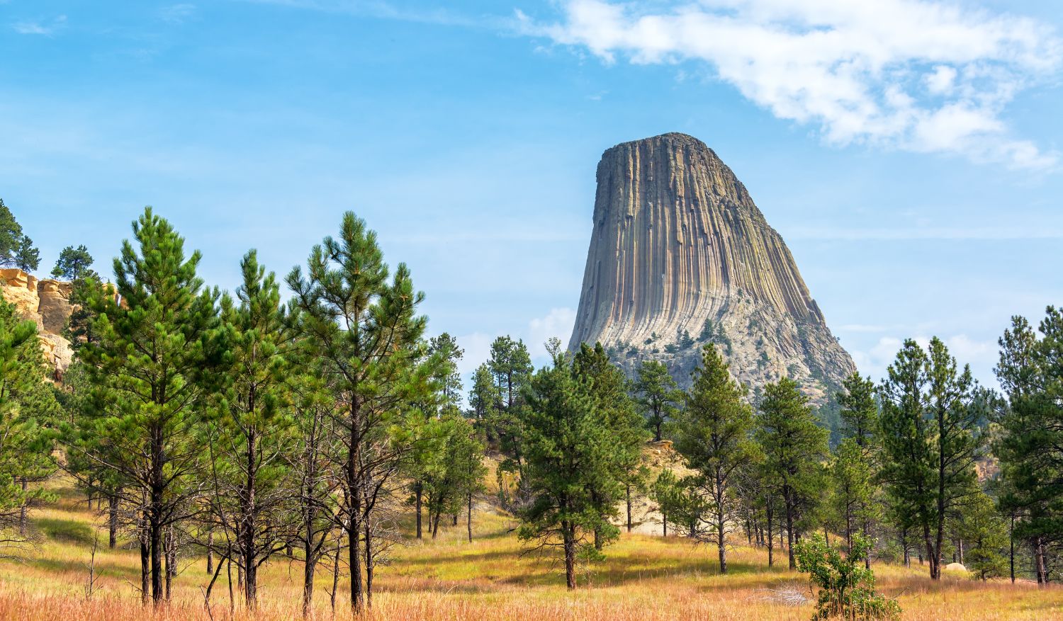 Devil’s Tower is a dramatic volcanic formation in Wyoming.