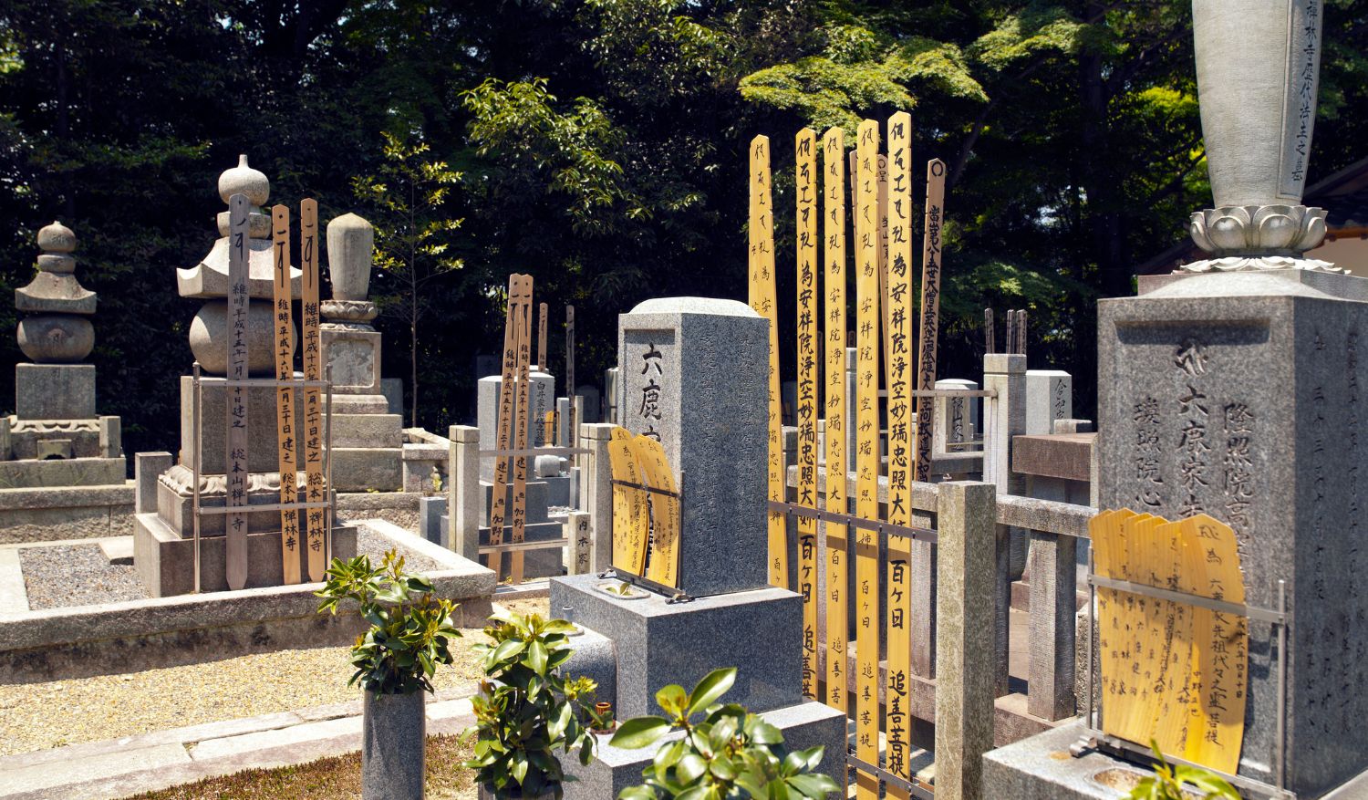 Ohakamairi or visiting and cleaning the ancestral graves is part of the Obon prep.