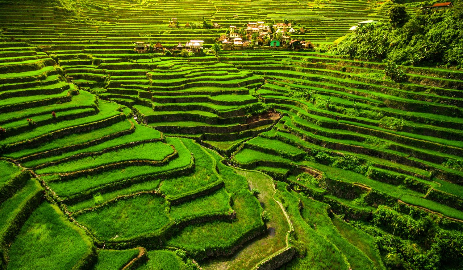 Rice Terraces of the Philippine Cordilleras, Philippines.