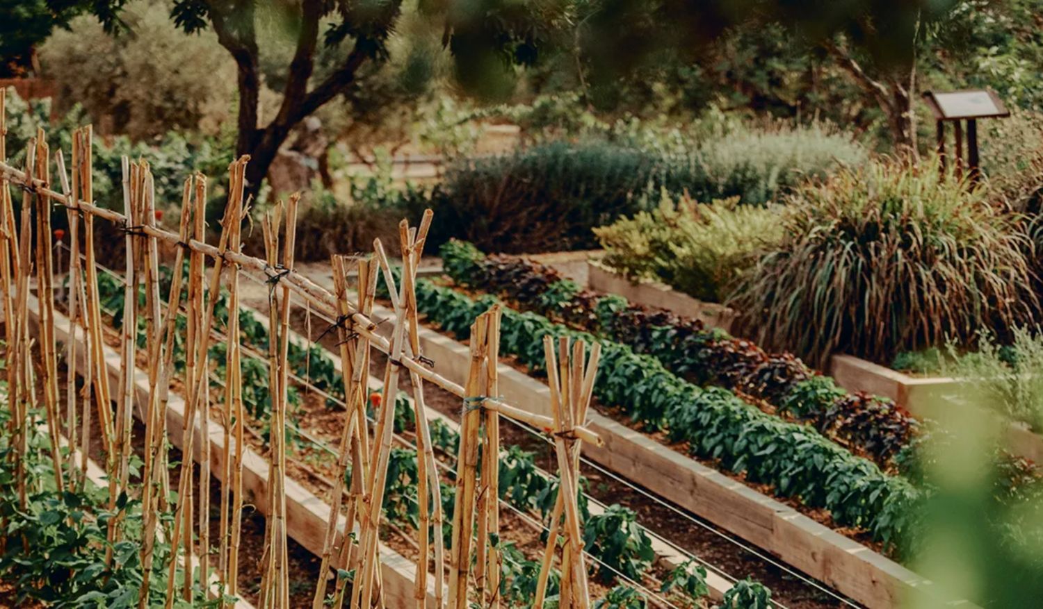 The property is designed to feel like a working farm, complete with vegetable gardens, citrus groves, and courtyards. (Credit: Edvinas Bruzas)