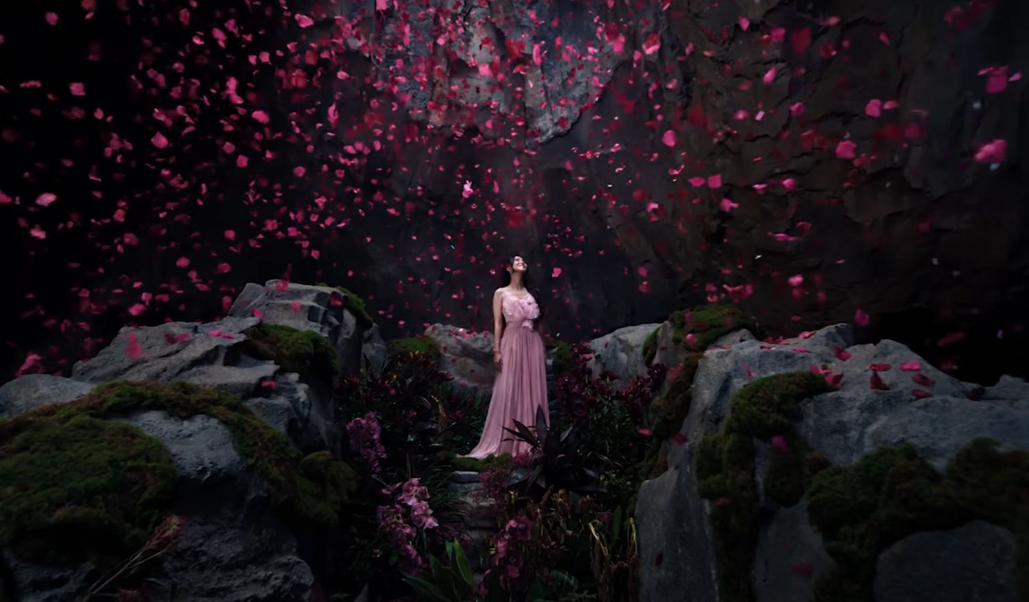 Visitors can explore a recreated tropical rainforest, among other things.