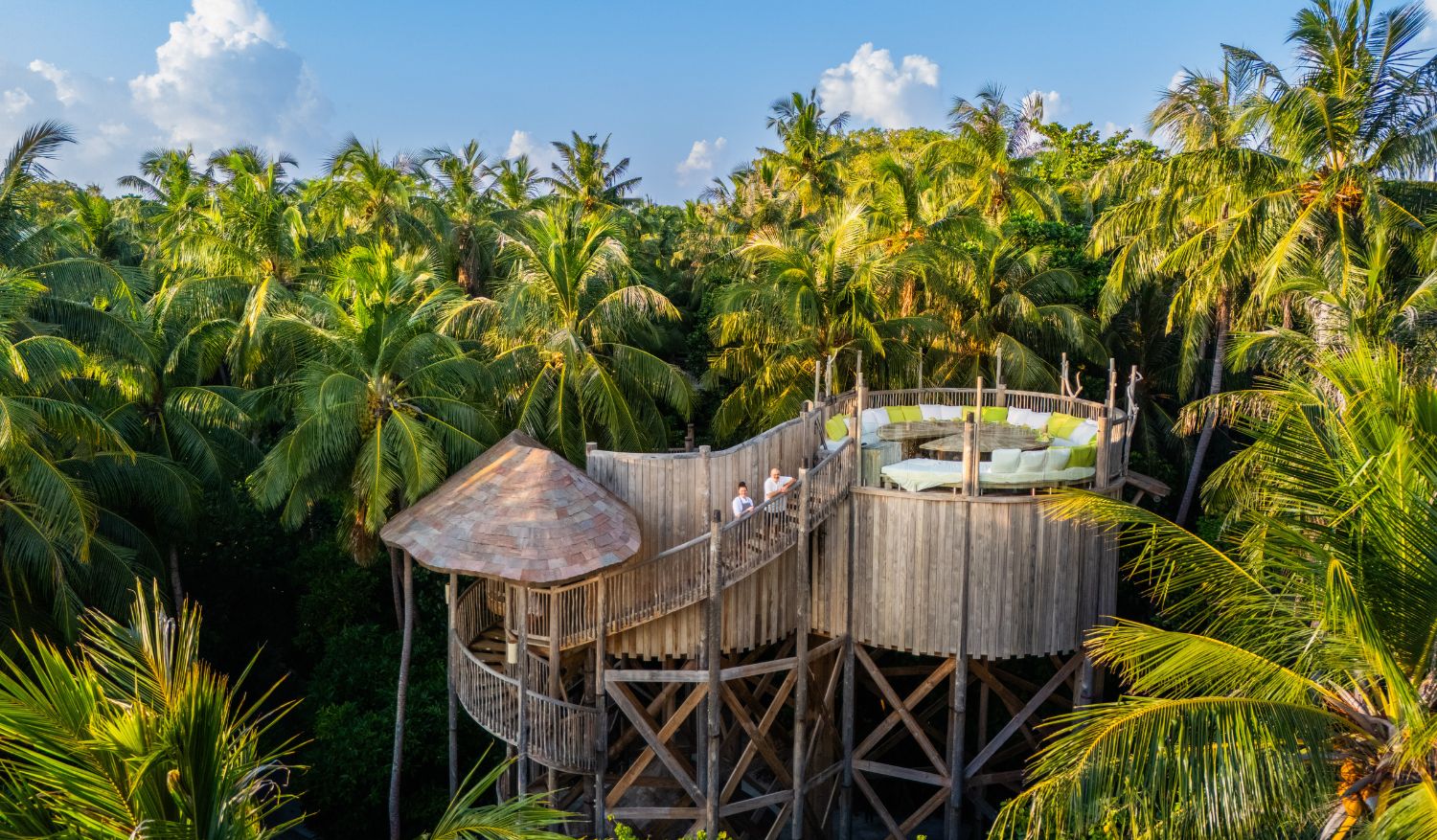Flavours in the forest: a culinary journey above the trees.
