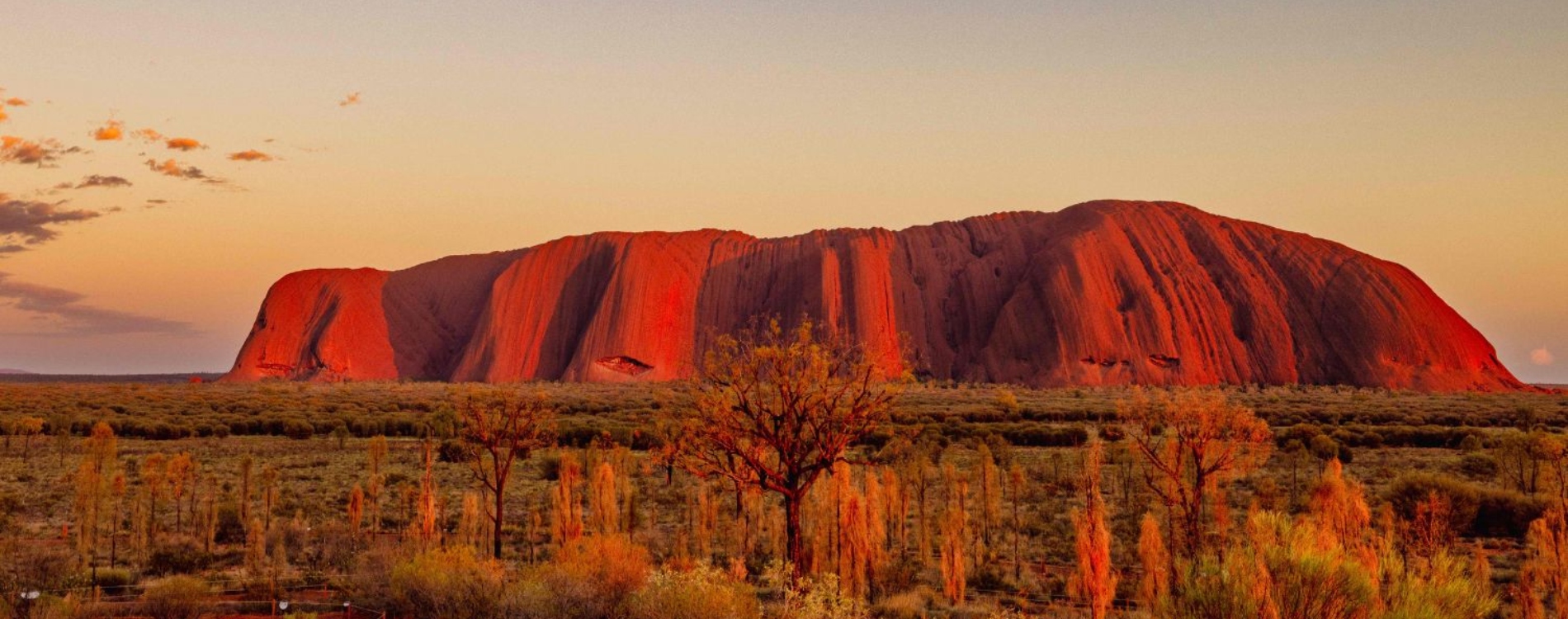 GCC-South-Africa-Safari